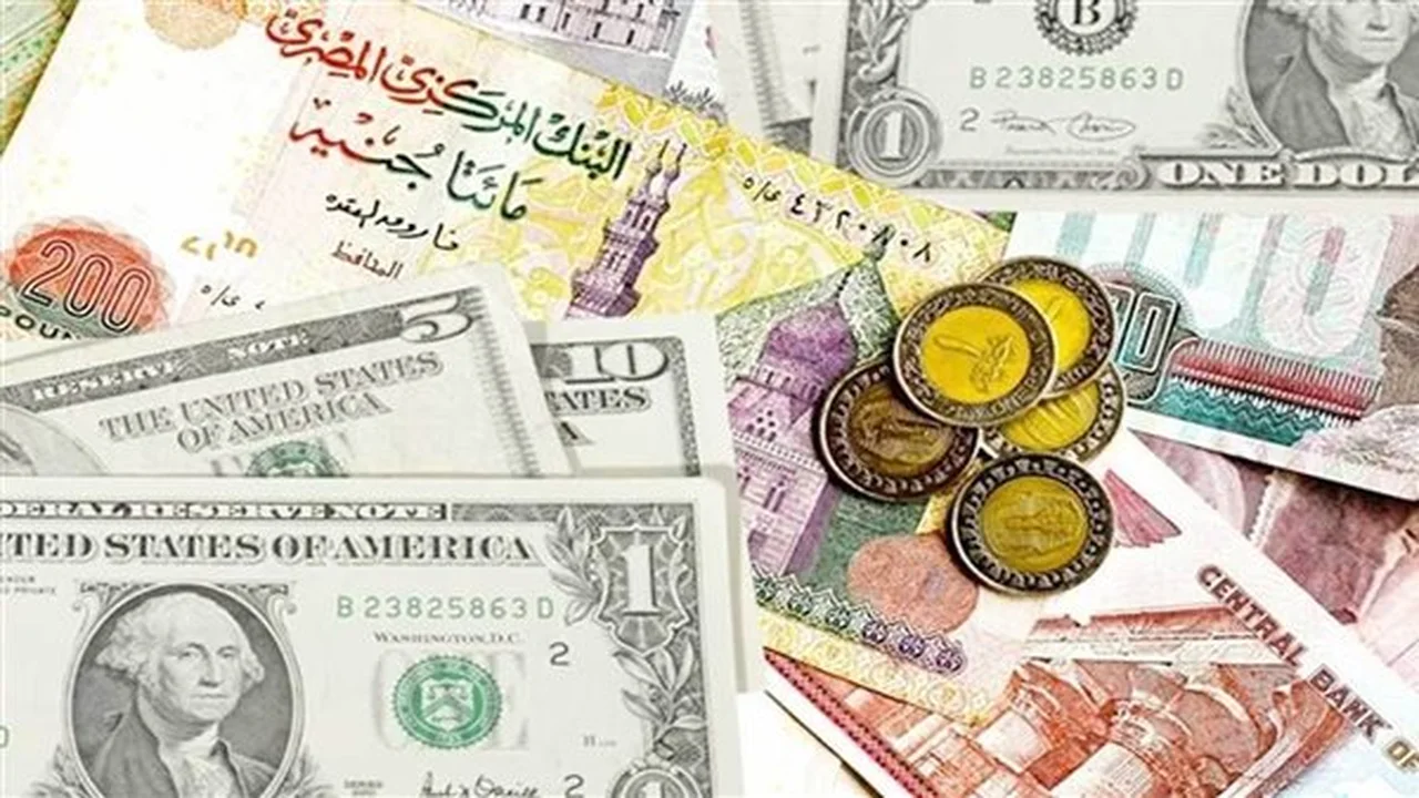 تطورات جديدة في سعر الدولار مقابل الجنيه داخل البنوك المصرية خلال تعاملات السبت الأخير من فبراير